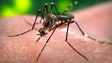 repellent-savings-2016