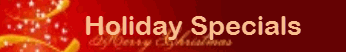 2013 Christmas Sales