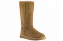 TheWalkingCompany product image