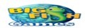 BigFishGames logo