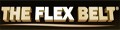 theflexbelt logo