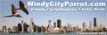 windycityparrot logo