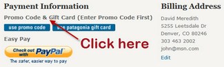 Where to enter coupon code at Patagonia.com