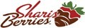Berries logo