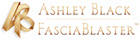 Fascia Blaster logo