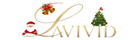 Lavivid Hair logo
