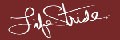 Life Stride logo