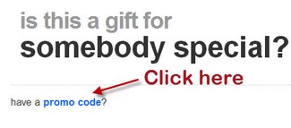 Where to enter promo code at Target.com